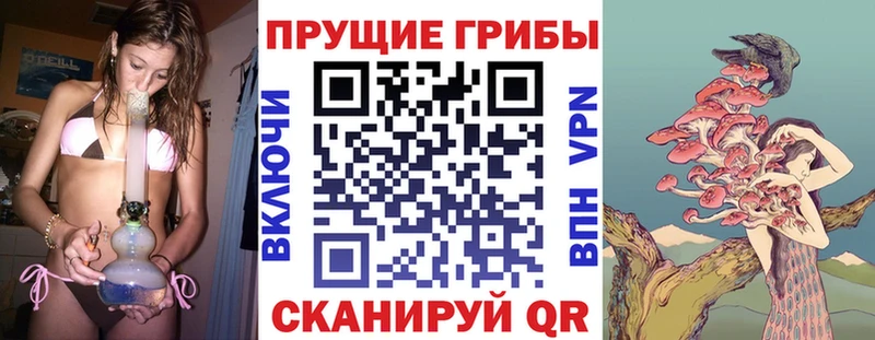 Галлюциногенные грибы Psilocybine cubensis  Сельцо 